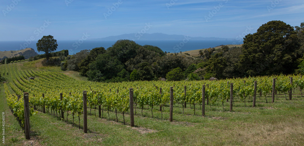 Waiheke Island New Zealand Auckland Stony Batter Hills Vineyard