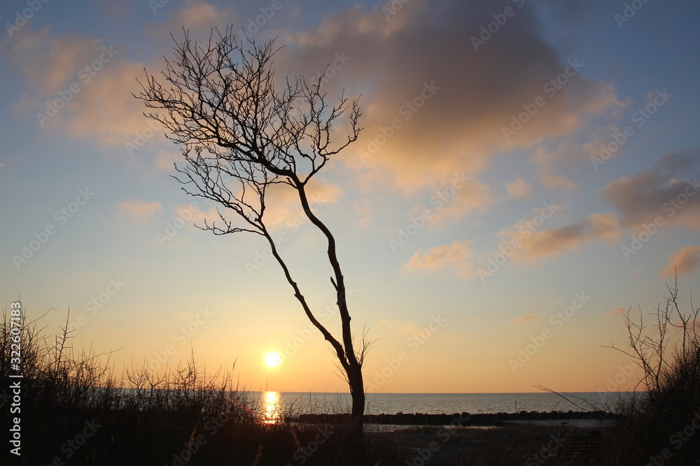 Naklejka premium Abendstimmung