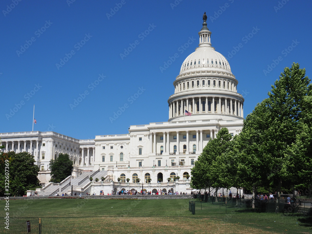 Obraz premium Capitol building Washington DC.