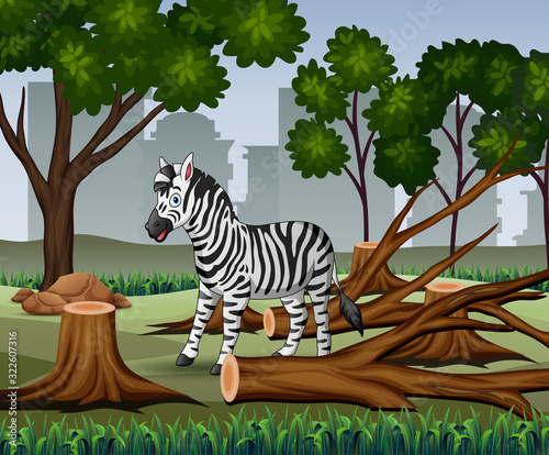 Fototapeta Naklejka Na Ścianę i Meble -  Deforestation scene with zebra and timber illustration