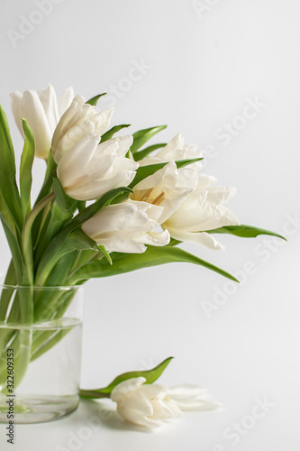 White tulips in a vase on a white background with space for text. Women s day Spring bouquet.