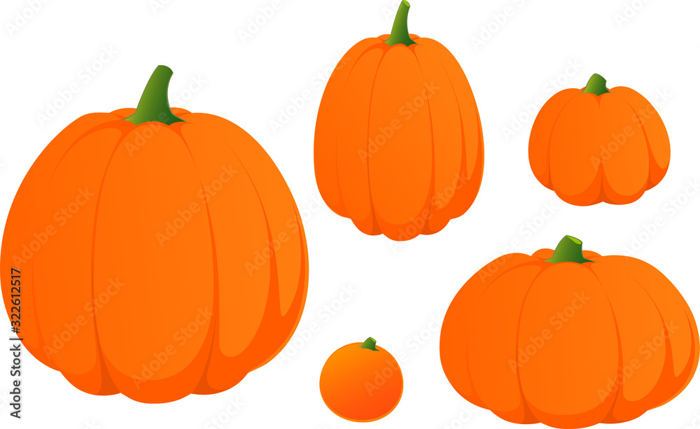 Vector illustration of various Halloween pumpkins isolated on white backgrund