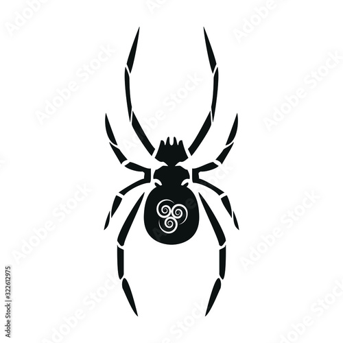Spider with white symbol on the back