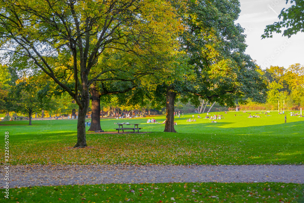 Germany, Cologne. Stay on the grass. People relax on the grass in the Park. Sunny day