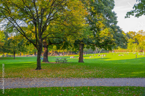 Obraz na płótnie Germany, Cologne. Stay on the grass. People relax on the grass in the Park. Sunny day w salonie