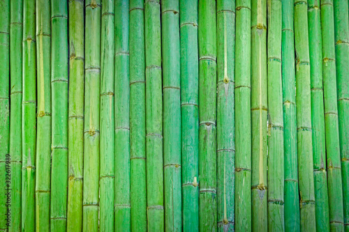 Green Bamboo fence background Bamboo wood texture for background
