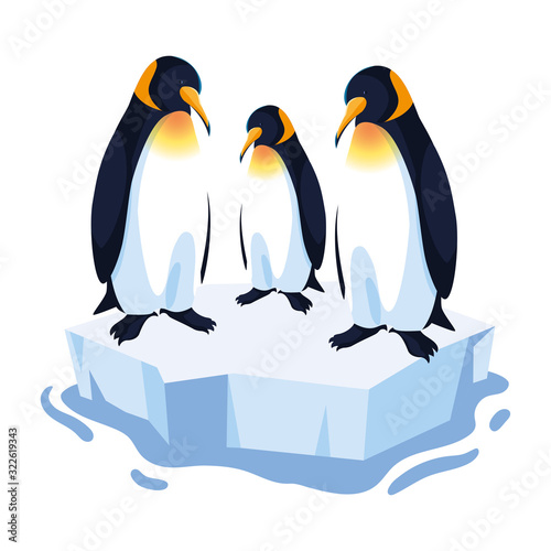 three penguin on an ice floe drifting