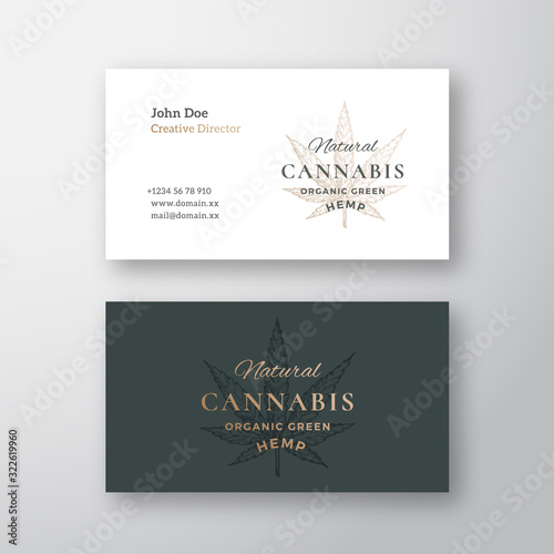 Cannabis CBD Hemp Leaf Sketch Abstract Vector Sign or Logo and Business Card Template. Premium Stationary Realistic Mock Up. Hand Drawn Medical Herb Emblem with Modern Typography.