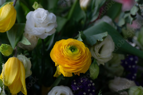 The background Yellow  flowers on green leaves