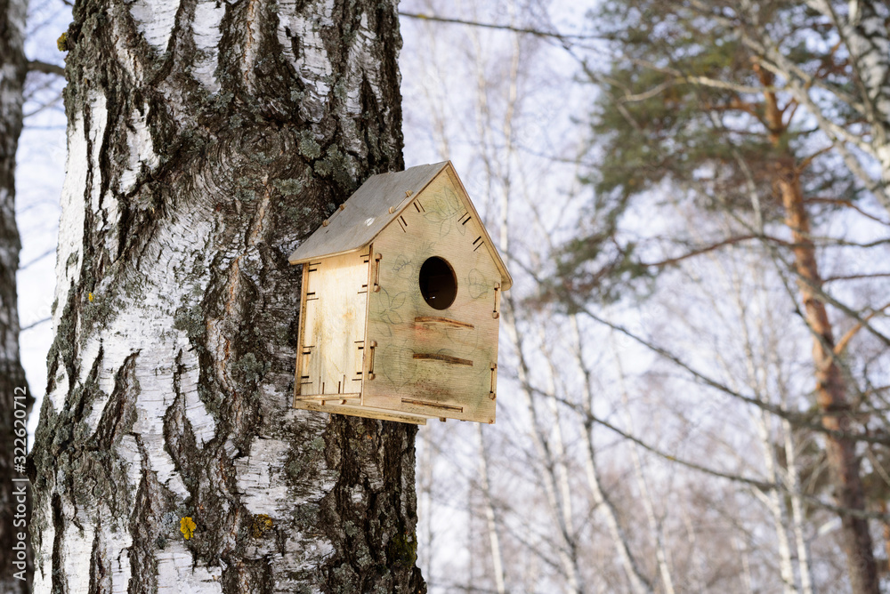 Birdhouse on a birch tree in a winter forest.