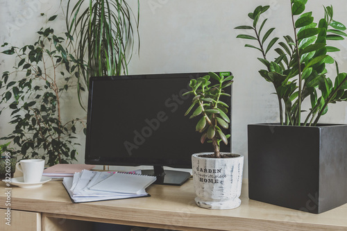 Workplace  home among plants in the home garden, the concept of freelance, work at home, a cozy place, slow life, mood background in scandy style photo