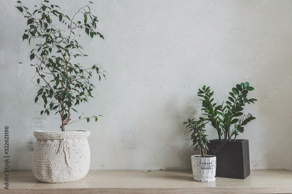 Workplace home among plants in the home garden, the concept of freelance, work at home, a cozy place, slow life, mood background in scandy style Workplace home among plants in the home garden, the concept of freelance, work at home, a cozy place, slow life, mood background in scandy style