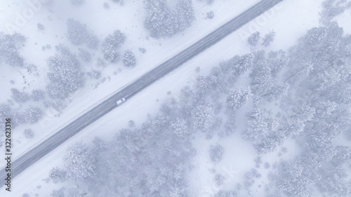 TOP DOWN: Car drives through a forest in Spokane during an intense blizzard.