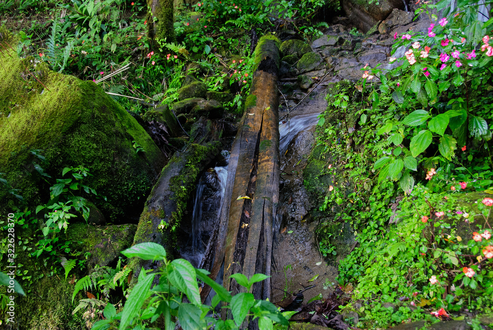 Small waterfall on the roadside. Small waterfall on the roadside.