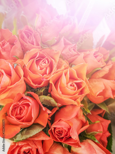 Small orange roses close-up in a flower shop. The concept of spring  holiday  women s day  flower business.