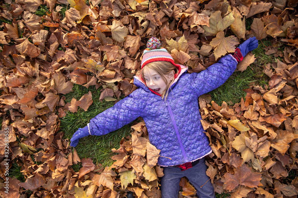 Little girl playing in the leaves in a park in Vienna, Austria. Little girl playing in the leaves in a park in Vienna, Austria.