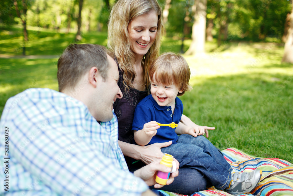 Family having picnic in the park