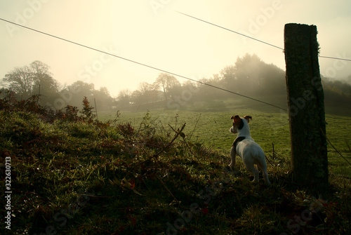 Wallpaper Mural Scrutons l'horizon  Torontodigital.ca