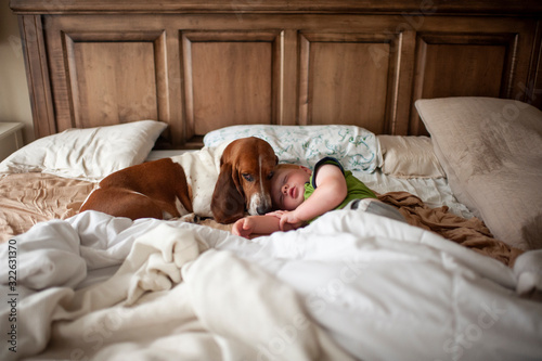 Toddler boy sleeping in bed with basset hound dog next to him at home