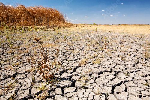 The Kern Valley Wildlife Refuge in California's Central Valley was created as important resting and feeding grounds for wildfowl migrating along the pacific flyway. After four years of unprec