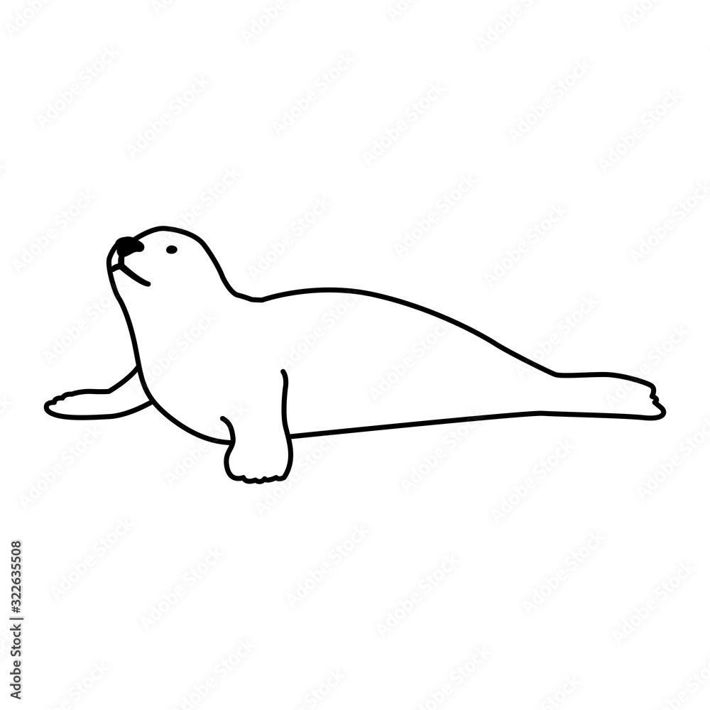 a seal fish on a white background a seal fish on a white background