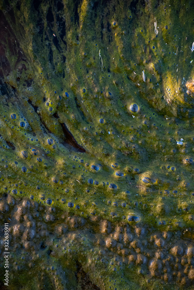 Textures and in the marsh. Textures and in the marsh.