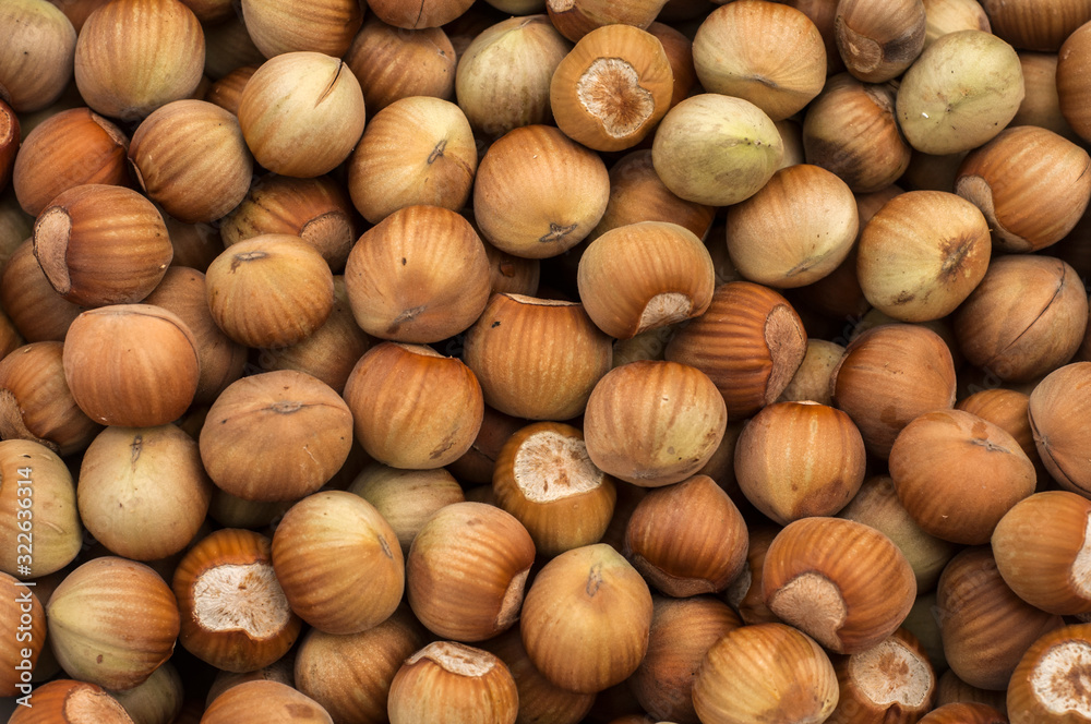 Raw hazelnuts with shell closeup as background Raw hazelnuts with shell closeup as background