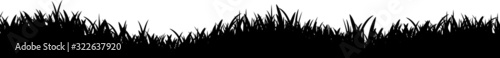 Fototapeta Meadow Grass Nature Silhouette Background Vector