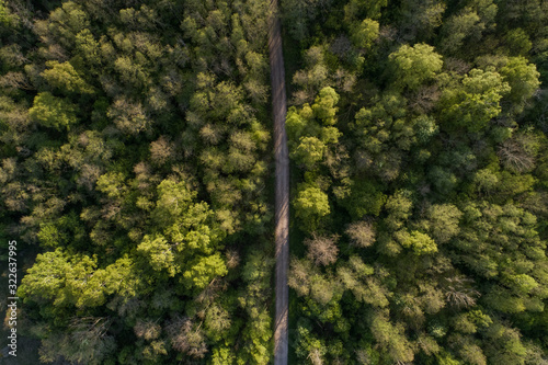 Aerial view of a road surrounded by trees, Saxby, L‰‰ne County, Estonia photo