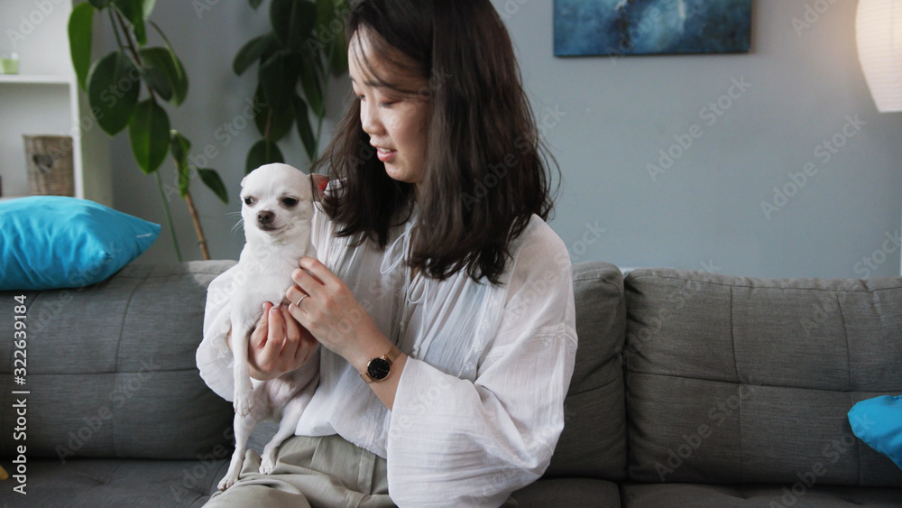 Charming girl in elegant blouse feeding adorable pet from hands. Young woman and beloved Chihuahua. Pattern. Healthy lifestyle. Food. Indoors. Footage.