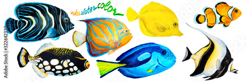 Set of tropical reef fish clownfish, moorish idol (zanclus), Emperor angelfish, blue-ringed angelfish, blue tang, yellow tang (zebrasoma) and clown triggerfish. Hand drawn watercolor.