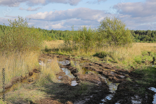 The track from the tractor wheels on the forest road is filled with water