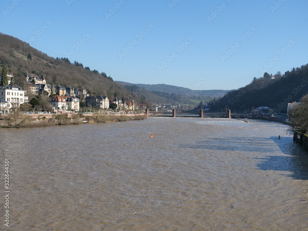 river of Neckar and residential area aside the coastline