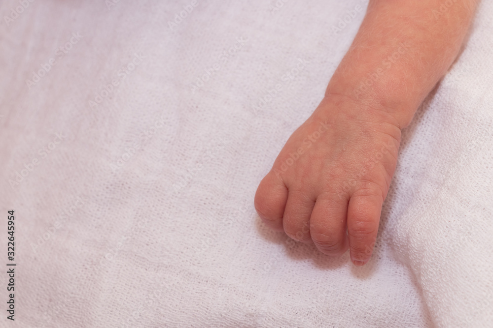 Baby hand, isolated on white blanket. The baby is 15 days old. Baby hand, isolated on white blanket. The baby is 15 days old.