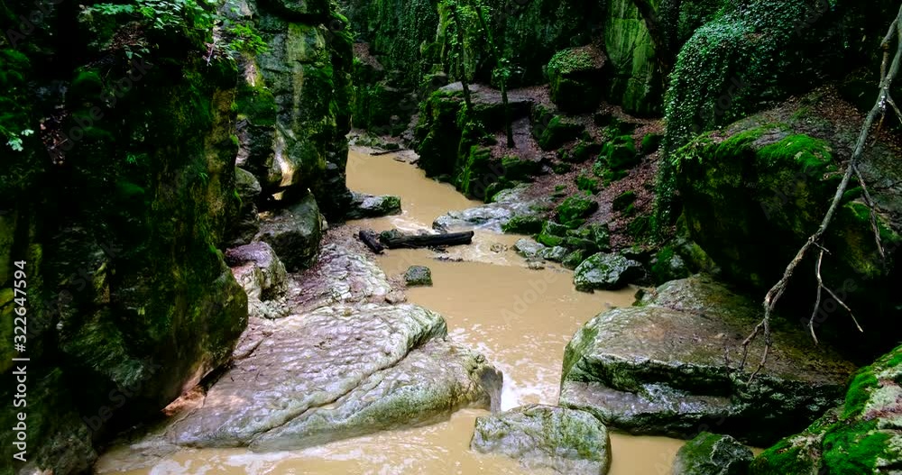 A river flowing through a gorge with walls covered in moss A river flowing through a gorge with walls covered in moss