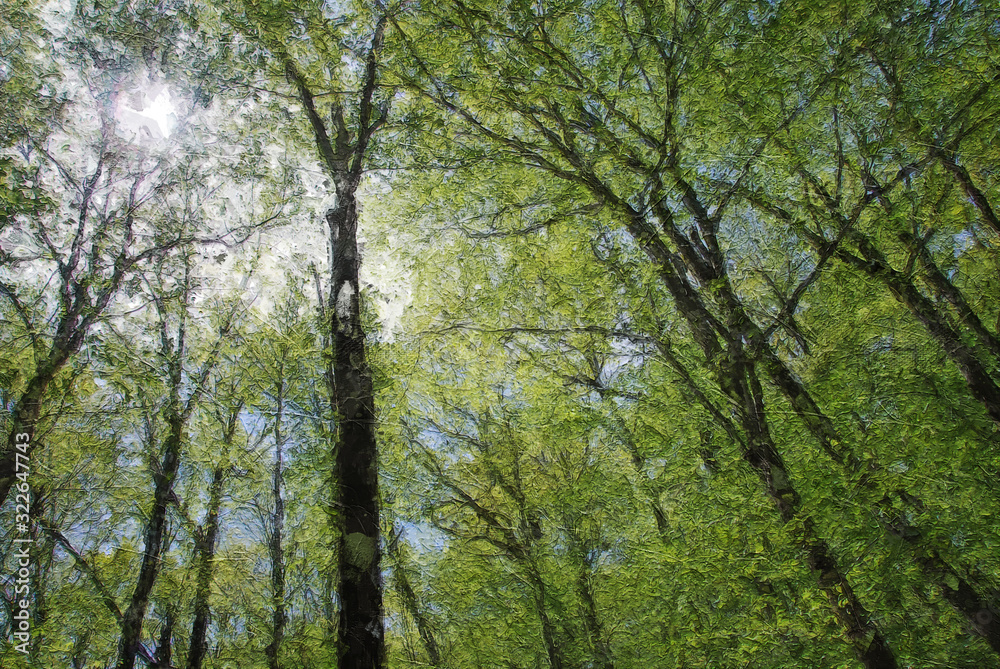 Impressionistic Style Artwork of Tall Springtime Trees Reaching for the Sky