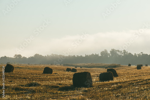 A late summer morning misty landscape with round hay bales. Scene of harvest and fertility