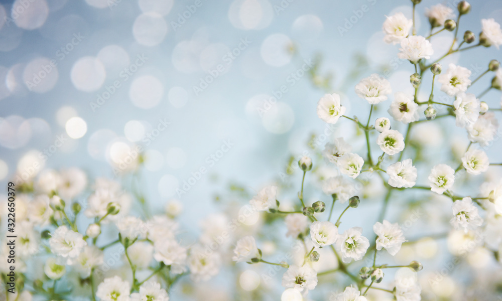 Spring background with petals Spring background with petals