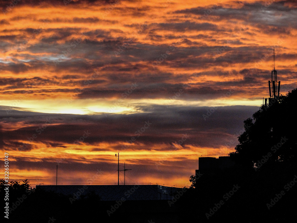 Naklejka premium sunset in the brazilian cerrado