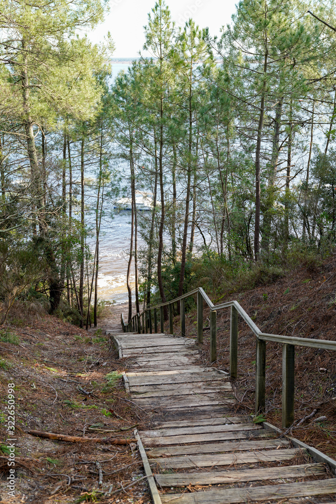 Wooden path beach access Hourtin lake in gironde france
