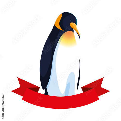 emperor penguin with ribbon on white background