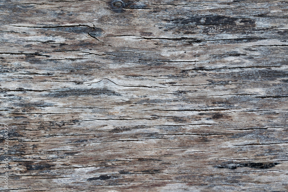 Old wooden surface of the skateboard. Old wood Texture. Old wooden surface of the skateboard. Old wood Texture.