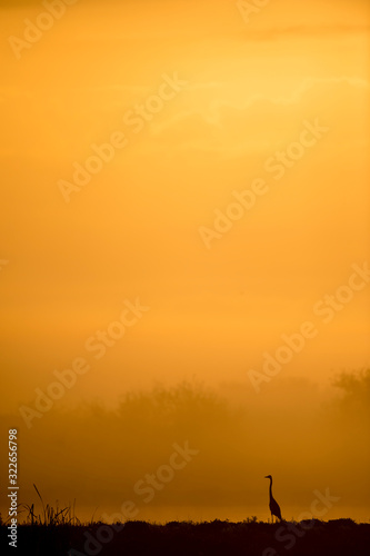 A scenic sunrise silhouette of a Great Blue Heron on a foggy morning with an orange sky.