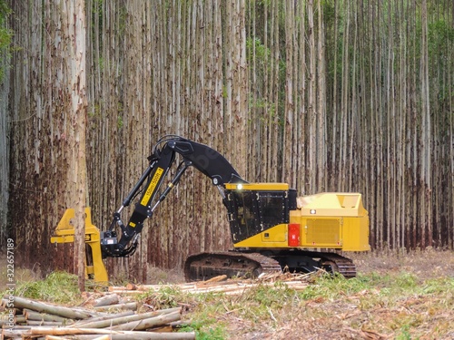 Logging Equipment - Timber Harvesting photo