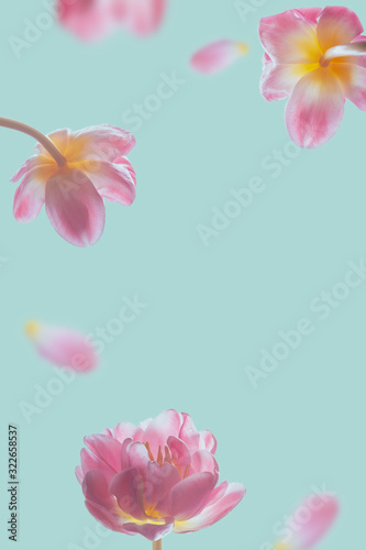 beautiful abstract blue background with falling and soaring tulips.