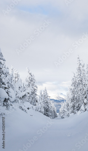 Yellowstone Mountain Landscape in Winter © ScottCanningImages
