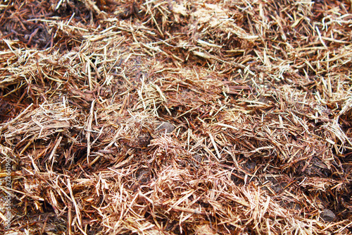 A pile of manure in the garden. Top view. Close-up. Background. Texture.