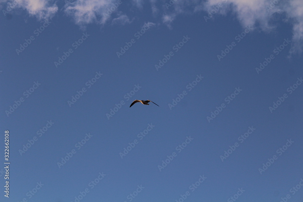 Obraz premium Beach Sunset