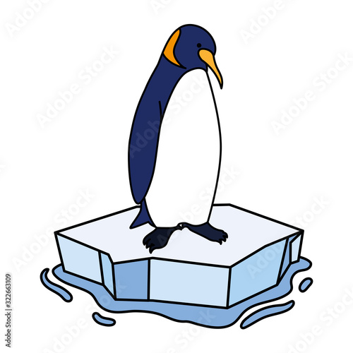 penguin on an ice floe drifting