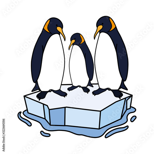 three penguin on an ice floe drifting